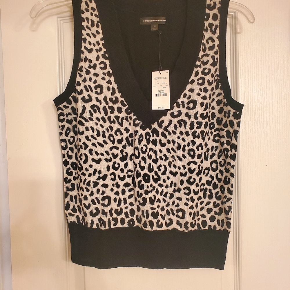Express Sweater Vest
